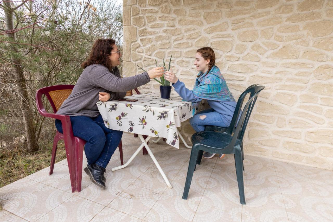 فيلا Domaine De Bois Joli بوي ليه باروني المظهر الخارجي الصورة