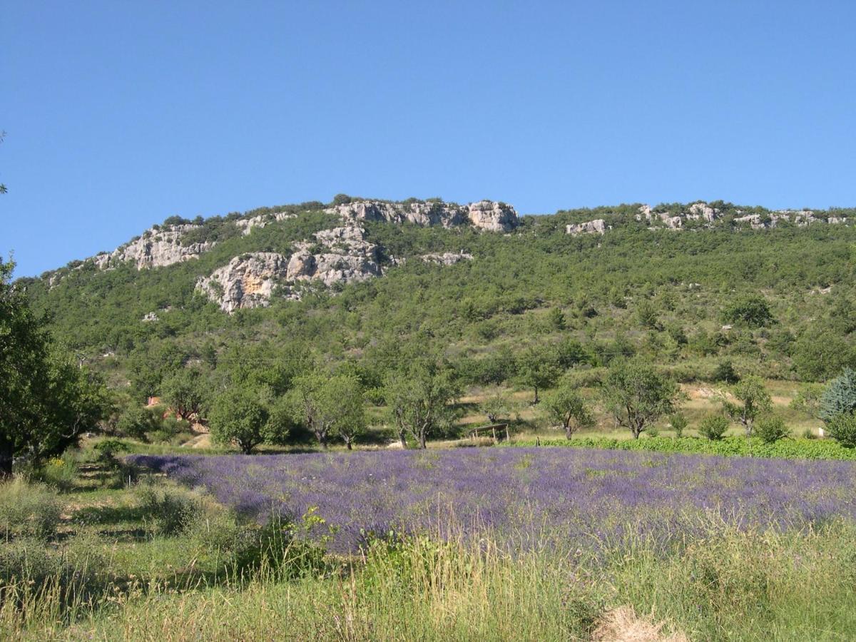 فيلا Domaine De Bois Joli بوي ليه باروني المظهر الخارجي الصورة